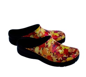 Picture Clog otoño 37.