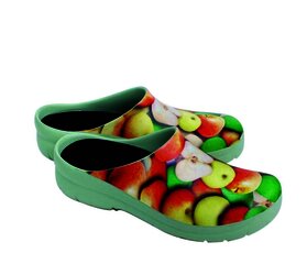Picture Clog manzanas 37.